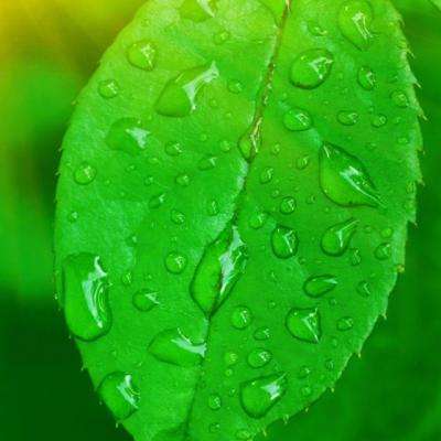 722cc彩票手机app下载截图